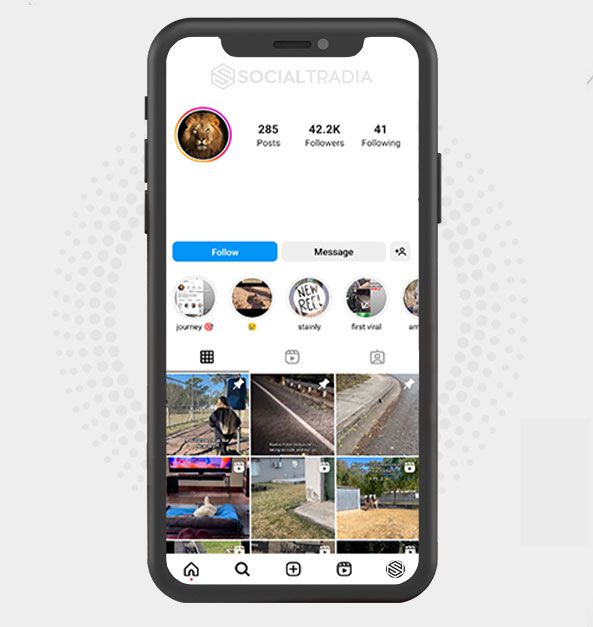 buy Instagram account Wildlife Fans (42.2 k Followers) buy Instagram account Wildlife Fans (42.2 k Followers)