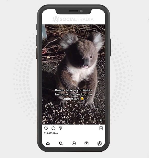 buy Instagram account Wildlife Fans (42.2 k Followers) buy Instagram account Wildlife Fans (42.2 k Followers)