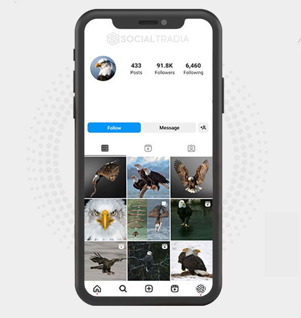 buy Instagram account Eagles Page (91.8 k Followers)