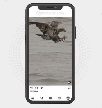 buy instagram account