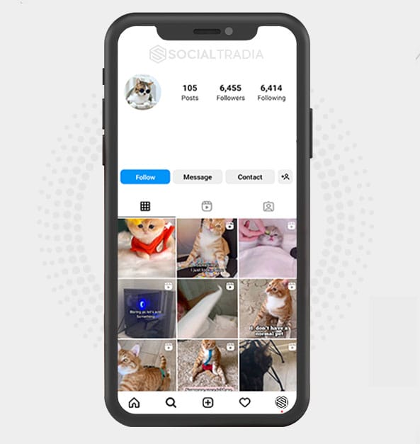 buy Instagram account CatInsta (6.4 k Followers)