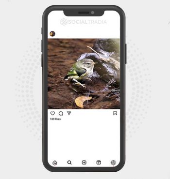 buy instagram account