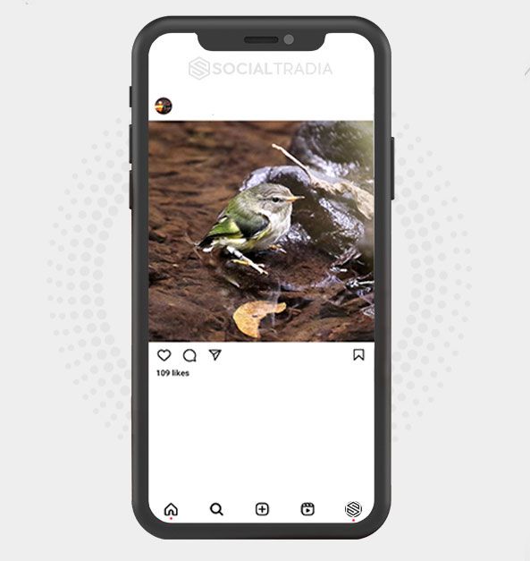 buy Instagram account Photo Community (6.7 k Followers) buy Instagram account Photo Community (6.7 k Followers)