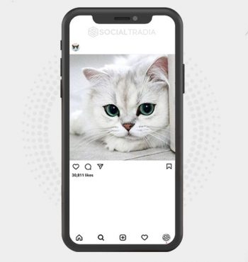 buy instagram account