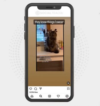buy instagram account