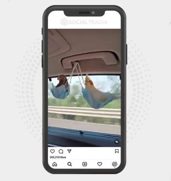 buy instagram account