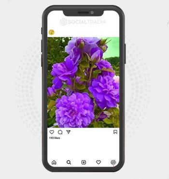 buy instagram account