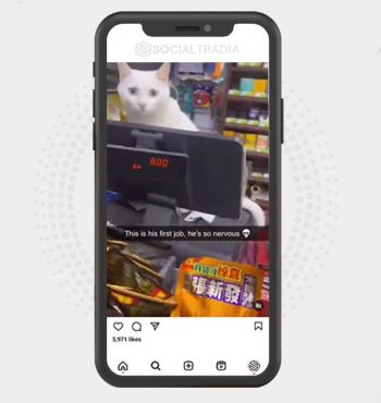 buy instagram account