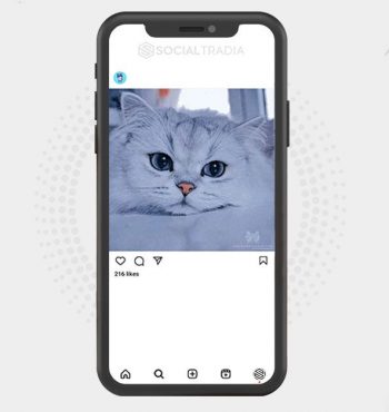 buy instagram account