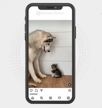 buy instagram account