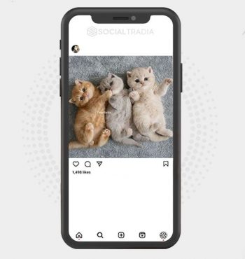 buy instagram account