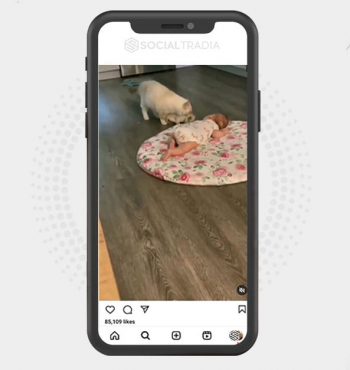 buy instagram account