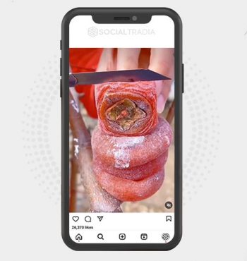 buy Instagram account Food Address (46.1k Followers)