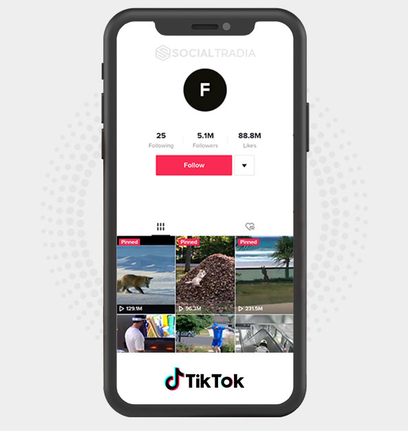 TikTok account Funny Stuff (5.3 m Followers)