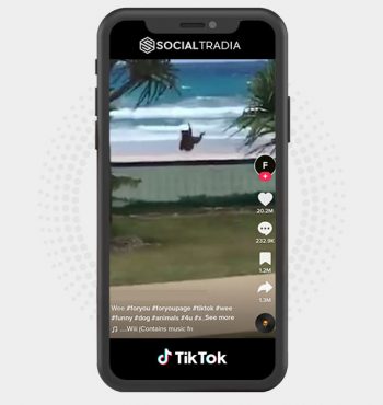 buy instagram account