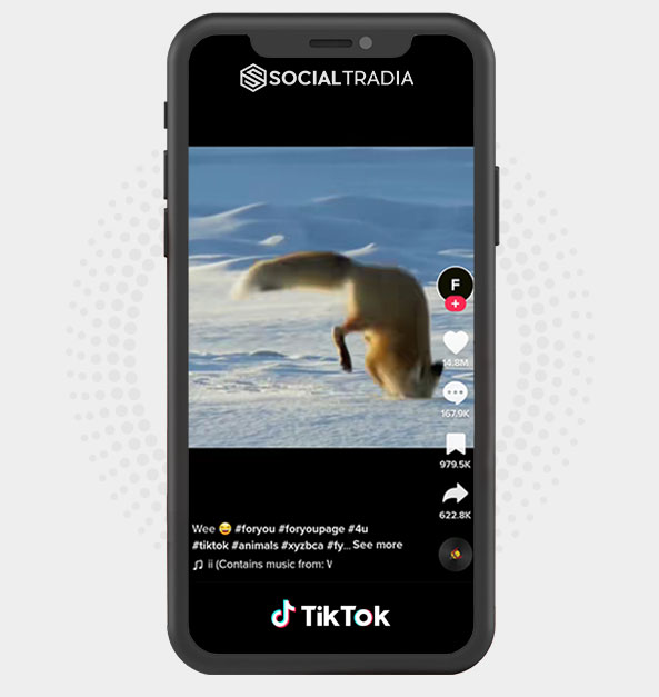 TikTok account Funny Stuff (5.3 m Followers)