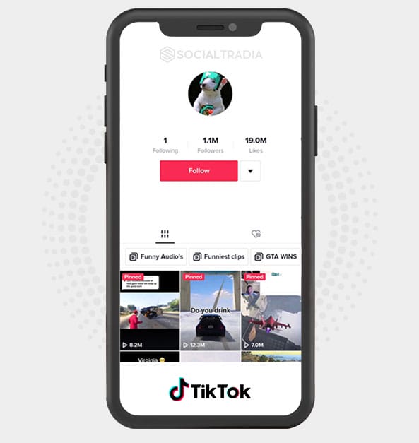TikTok account GamingFans (1.1 m Followers)