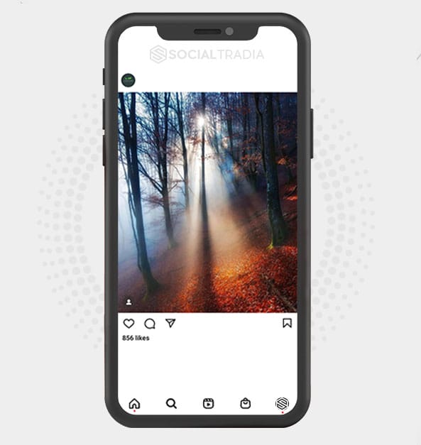 buy Instagram account Nature Beauty (3.5 k Followers)