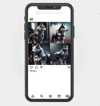 buy Instagram account Huskies Here (35.2 k Followers)