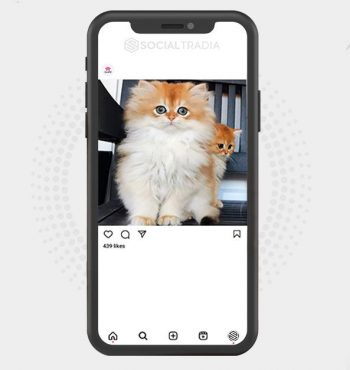 buy instagram account