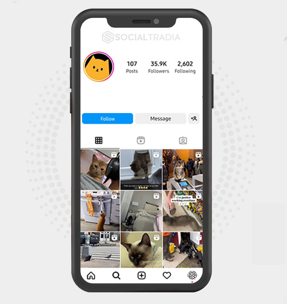 buy Instagram account KittyDream (35.9 k Followers)