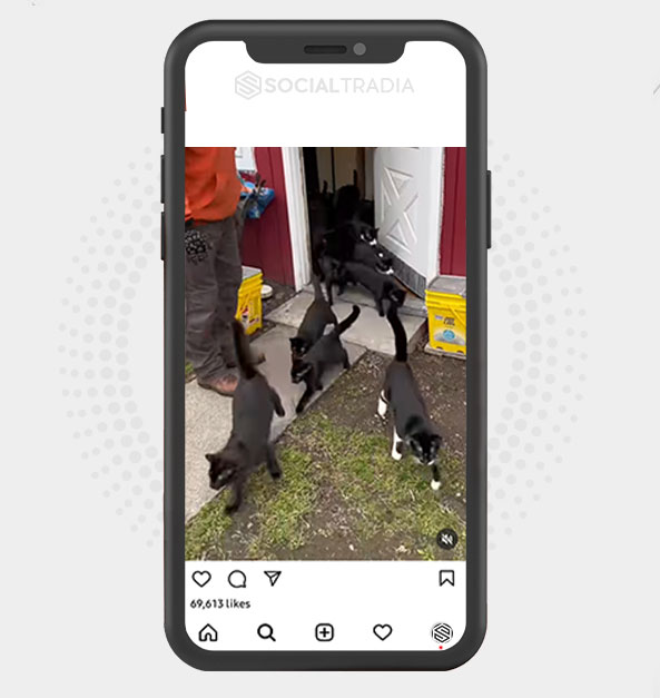 buy Instagram account KittyDream (35.9 k Followers)