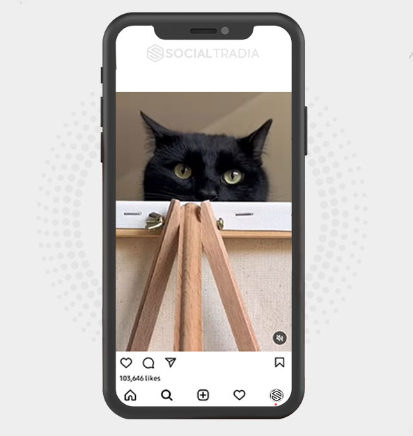 buy Instagram account KittyDream (35.9 k Followers)