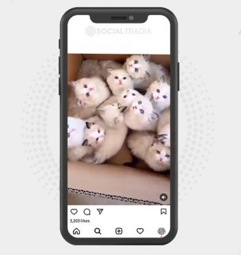 buy instagram account