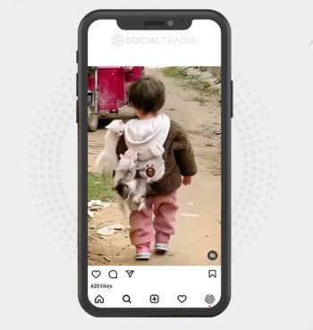 buy Instagram account Kitty Case (20.9 k Followers)