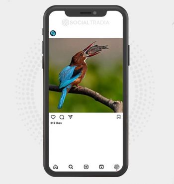 buy instagram account