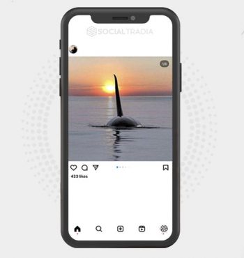 buy instagram account