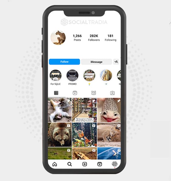 buy Instagram account NaturalZone (282 k Followers) buy Instagram account NaturalZone (282 k Followers)