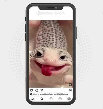buy instagram account