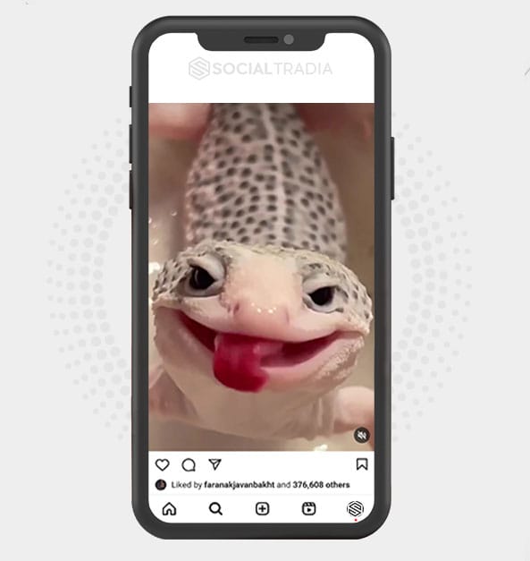buy Instagram account NaturalZone (282 k Followers) buy Instagram account NaturalZone (282 k Followers)