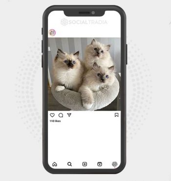 buy instagram account