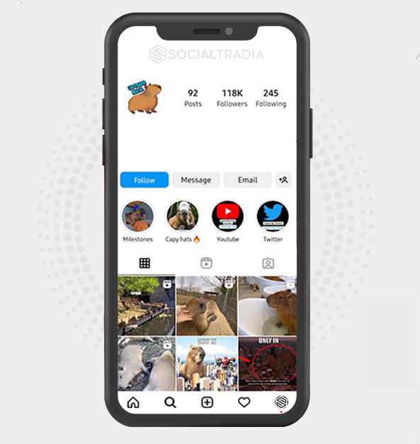 buy Instagram account Zoo Passion (118 k Followers) buy Instagram account Zoo Passion (118 k Followers)