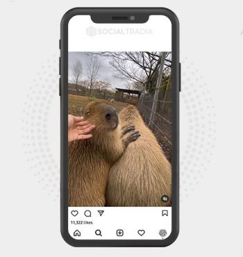buy instagram account