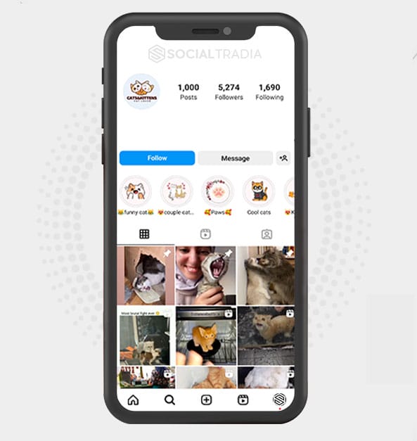 buy Instagram account Cats Wild (5.2 k Followers) buy Instagram account Cats Wild (5.2 k Followers)
