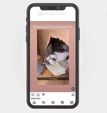 buy instagram account