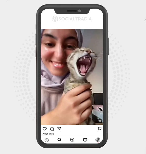 buy Instagram account Cats Wild (5.2 k Followers) buy Instagram account Cats Wild (5.2 k Followers)