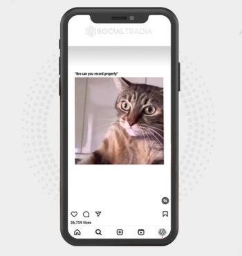 buy Instagram account KittenBeauty (42.7 k Followers)