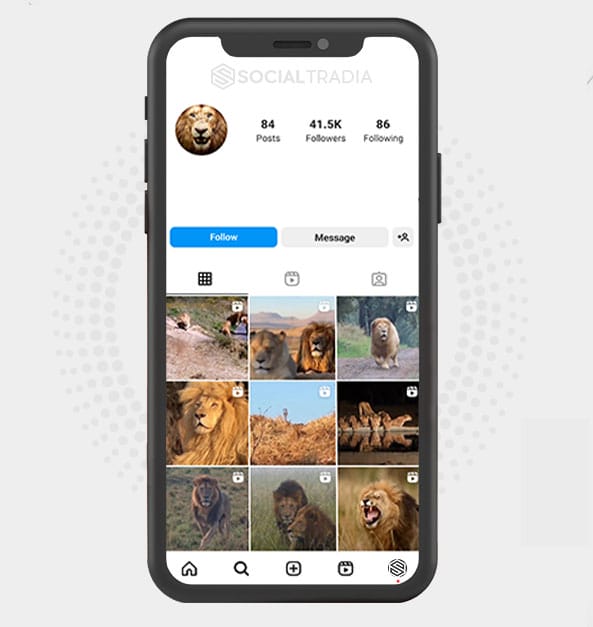 buy Instagram account Lion Beauty (41.5 k Followers) buy Instagram account Lion Beauty (41.5 k Followers)