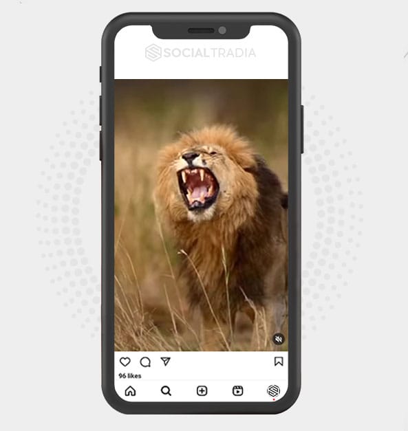 buy Instagram account Lion Beauty (41.5 k Followers) buy Instagram account Lion Beauty (41.5 k Followers)