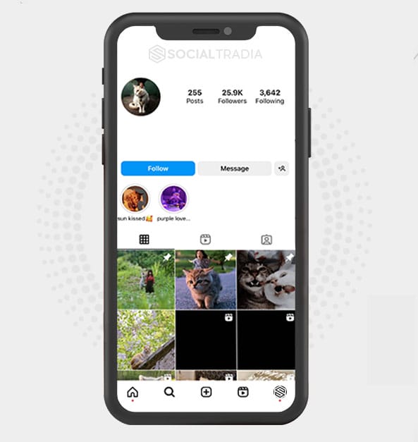 buy Instagram account KittyFavorite (25.9 k Followers)