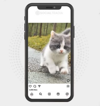 buy Instagram account KittyFavorite (25.9 k Followers)