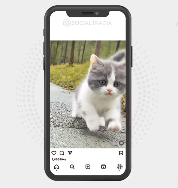 buy Instagram account KittyFavorite (25.9 k Followers)