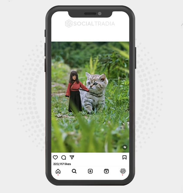 buy Instagram account KittyFavorite (25.9 k Followers)
