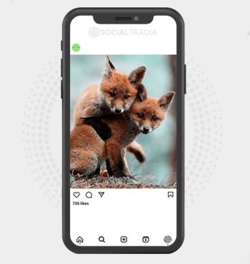 buy instagram account