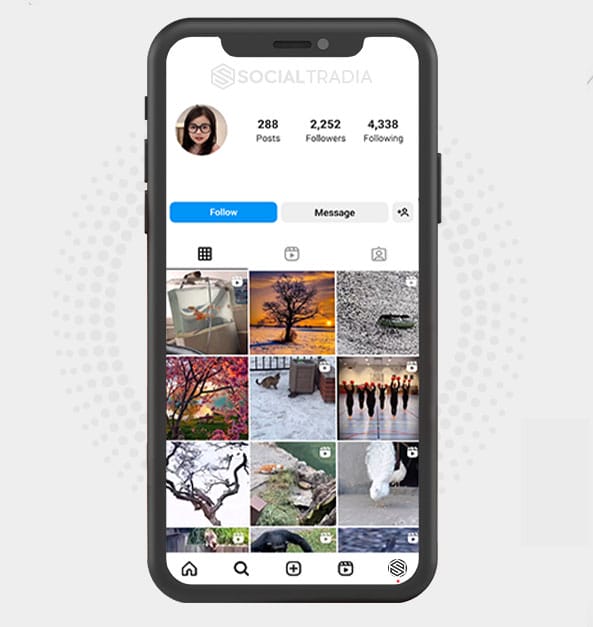 buy Instagram account NaturalScenes (2.2 k Followers)