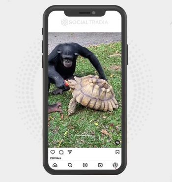 buy instagram account